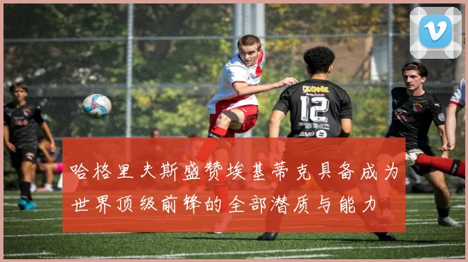 哈格里夫斯盛赞埃基蒂克具备成为世界顶级前锋的全部潜质与能力